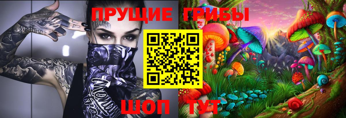 Галлюциногенные грибы Magic Shrooms  купить наркотики сайты  Сибай  Вход с VPN  Псилоцибиновые грибы Cubensis 